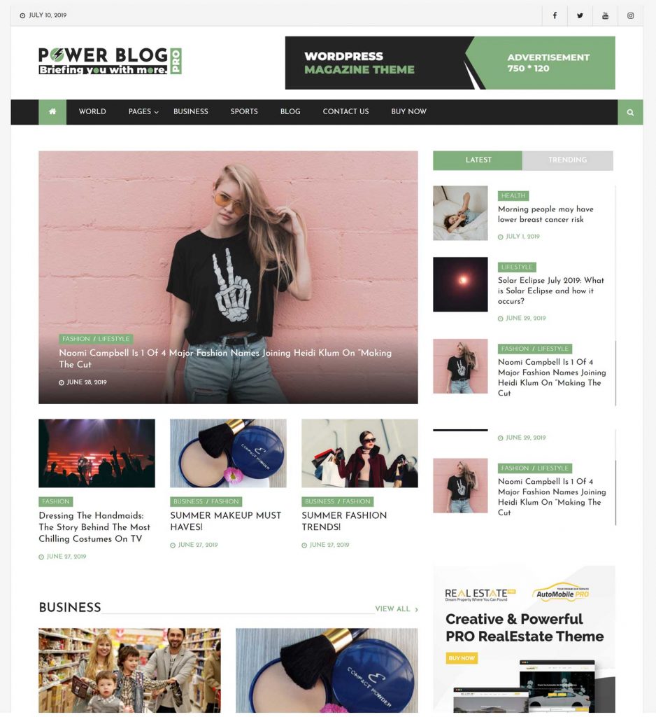 WordPress Blog Themes