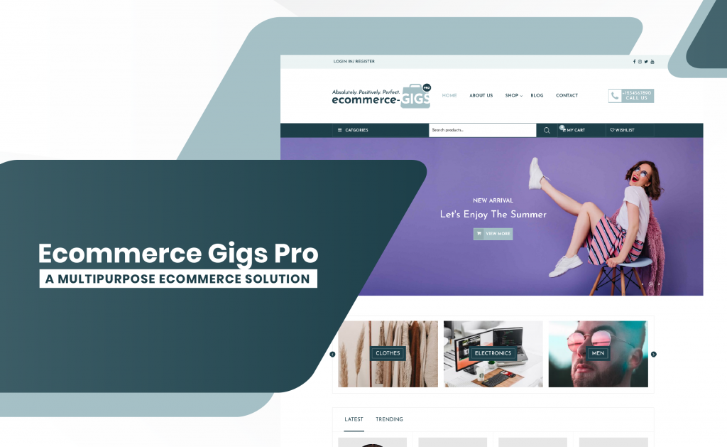 Ecommerce Gigs Pro